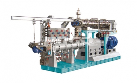 Ekstrudirovka qilingan yem va pelet yemi, Jarayon ustunlikni belgilaydi