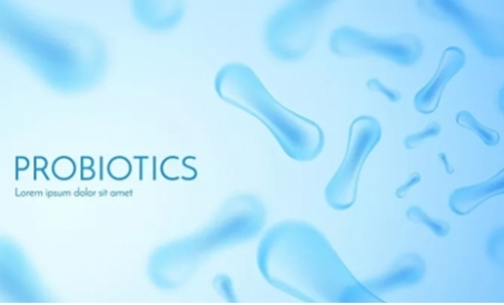 Biologik fermentatsiya yemining afzalliklari