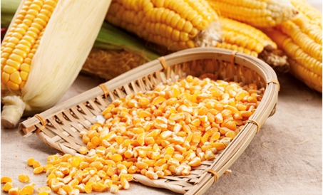 Ozuqa tegirmonining moddiy yo'qotilishini qanday kamaytirish mumkin