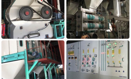 30tph Chorvachilik & Myanmada parranda go'shti yemi ishlab chiqarish loyihasi yakunlandi va ishl