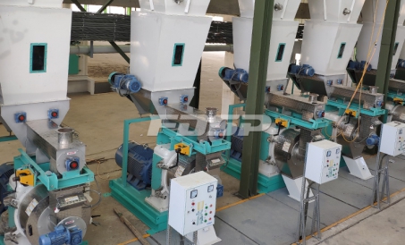 Liangyou aktsiyalari sizga yog'och pelet mashinasini uzoqroq xizmat qilish muddatini qanday qilishni