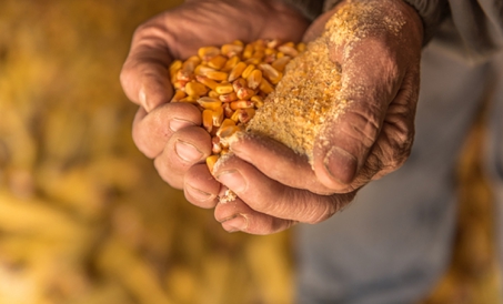 Misrni xavfsiz saqlash usullari va choralari