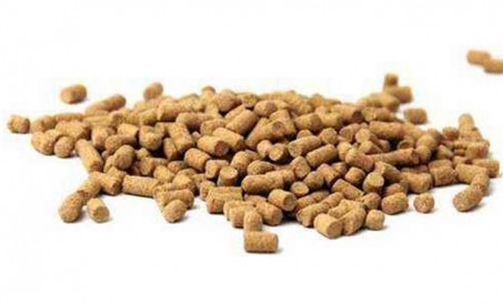 Chiqindilar muammosini qanday hal qilish mumkin? ozuqa mahsulotlarida?