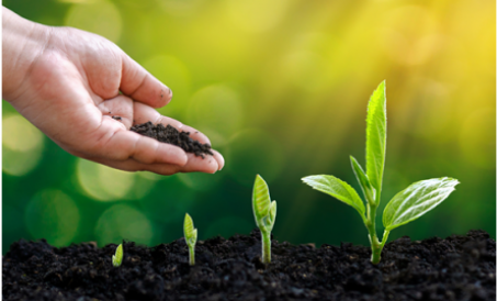 Organik o'g'itlar zavodini qurishga investitsiya qiling va chuqurga kirmaslik uchun ushbu fikrlarni 