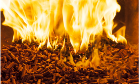 Biomassa granulyatori bozorda mashhur bo'lib, uning texnologiyasini yangilash katta hissa qo'shdi