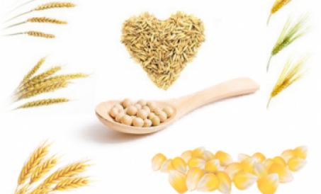 Ozuqa xomashyosining sifatini muhofaza qilish choralari